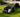 AI robotic lawn mower maintaining a green residential lawn near its charging station