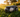 Robot lawn mower using AI vision technology to detect and avoid obstacles autonomously